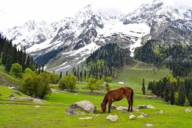 Srinagar Gulmarg Sonamarg Pahalgam 6n 7d Holiday Package